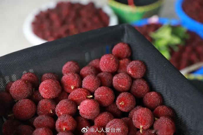 台州三门杨梅持证迎丰收 六月，台州三门杨梅迎来丰收季。在健跳镇元盛家庭农场，一筐