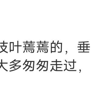 不要让那个喜欢你的人，撕心裂肺地为你哭那么一次。因为，你能把她伤害到那个样子的机