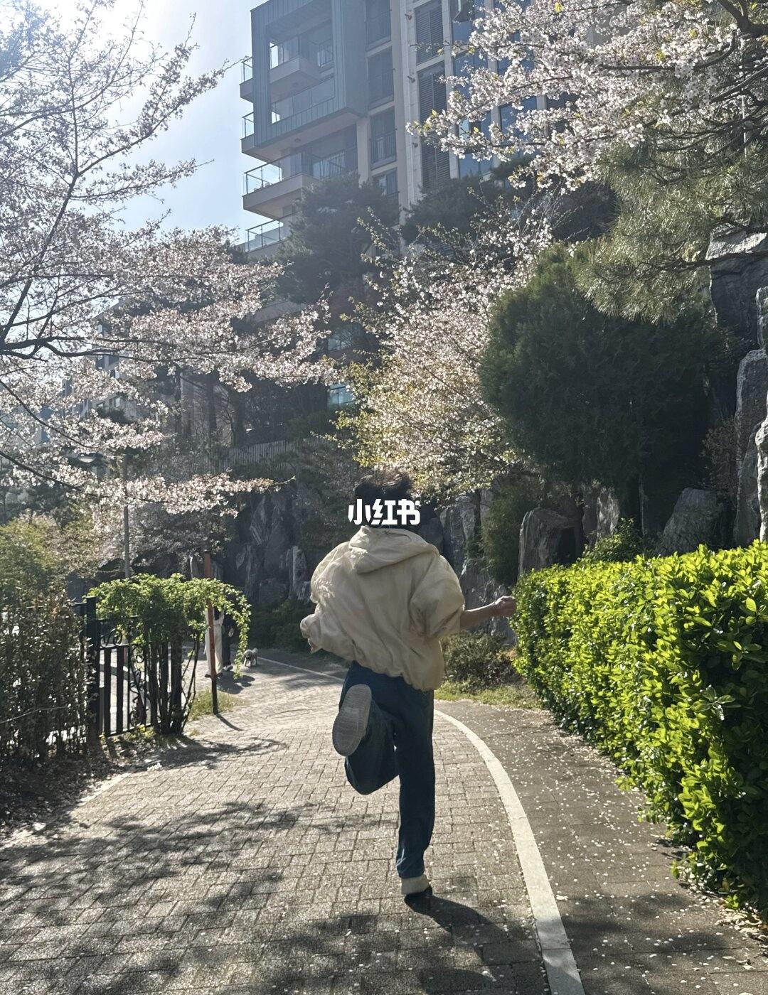 净汉怎么开始爆料自己！hhh！
🐰祝🐶生日快乐的照片太搞笑了！
尹净汉 金珉