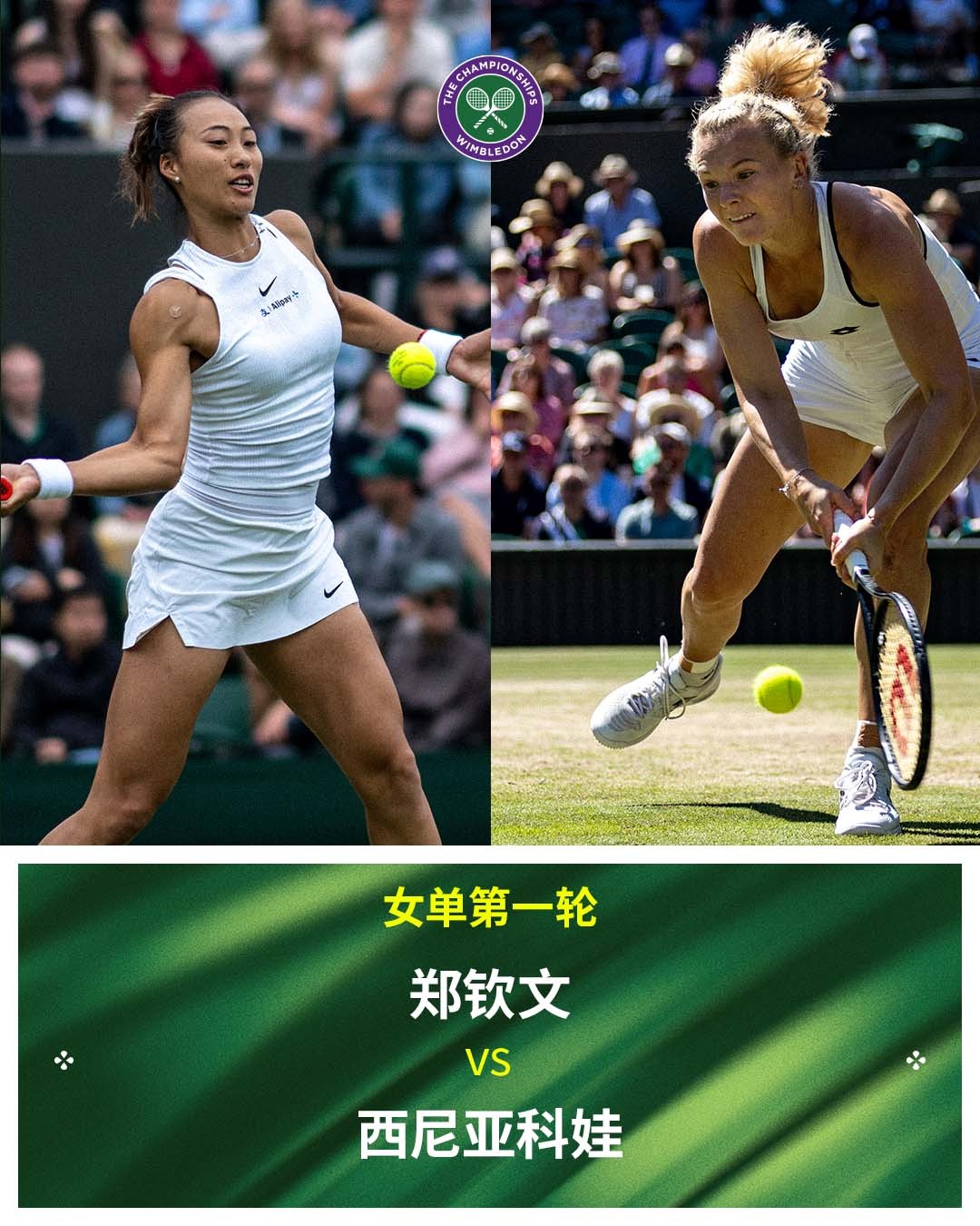 温网2025 女单首轮对阵[5]郑钦文 vs 西尼亚科娃追求卓越 ​​​