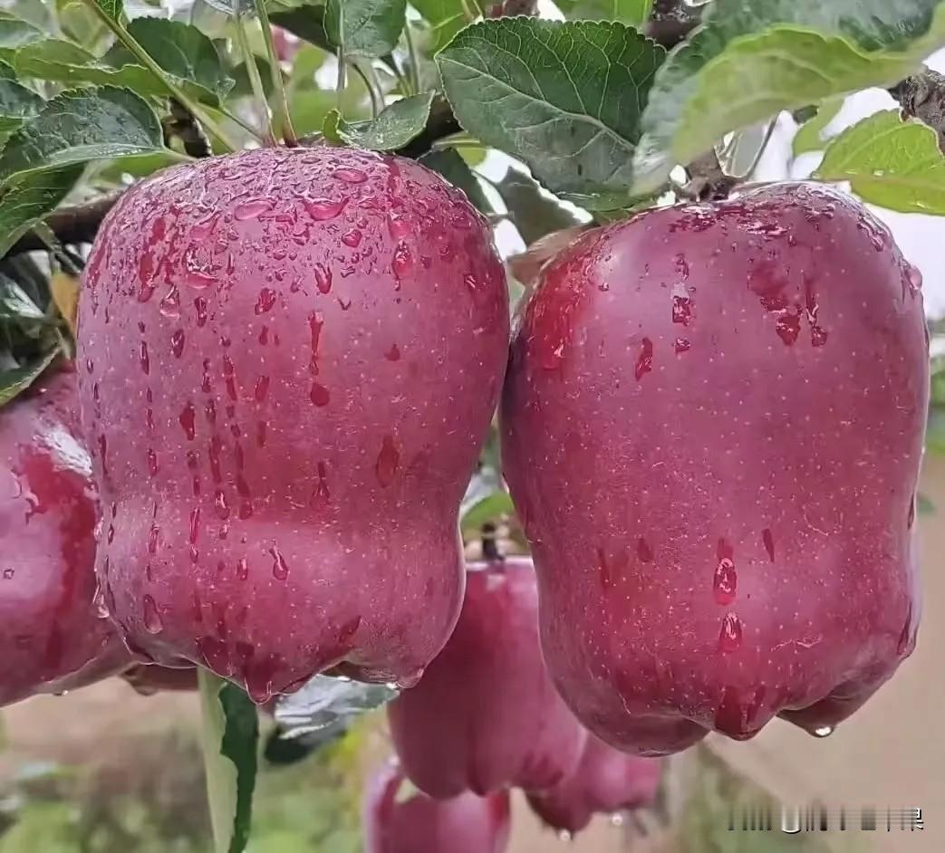 溪流从不强求直线抵达，它迂回，它绕石，它甚至允许短暂的回旋。正是这份灵活，让它一