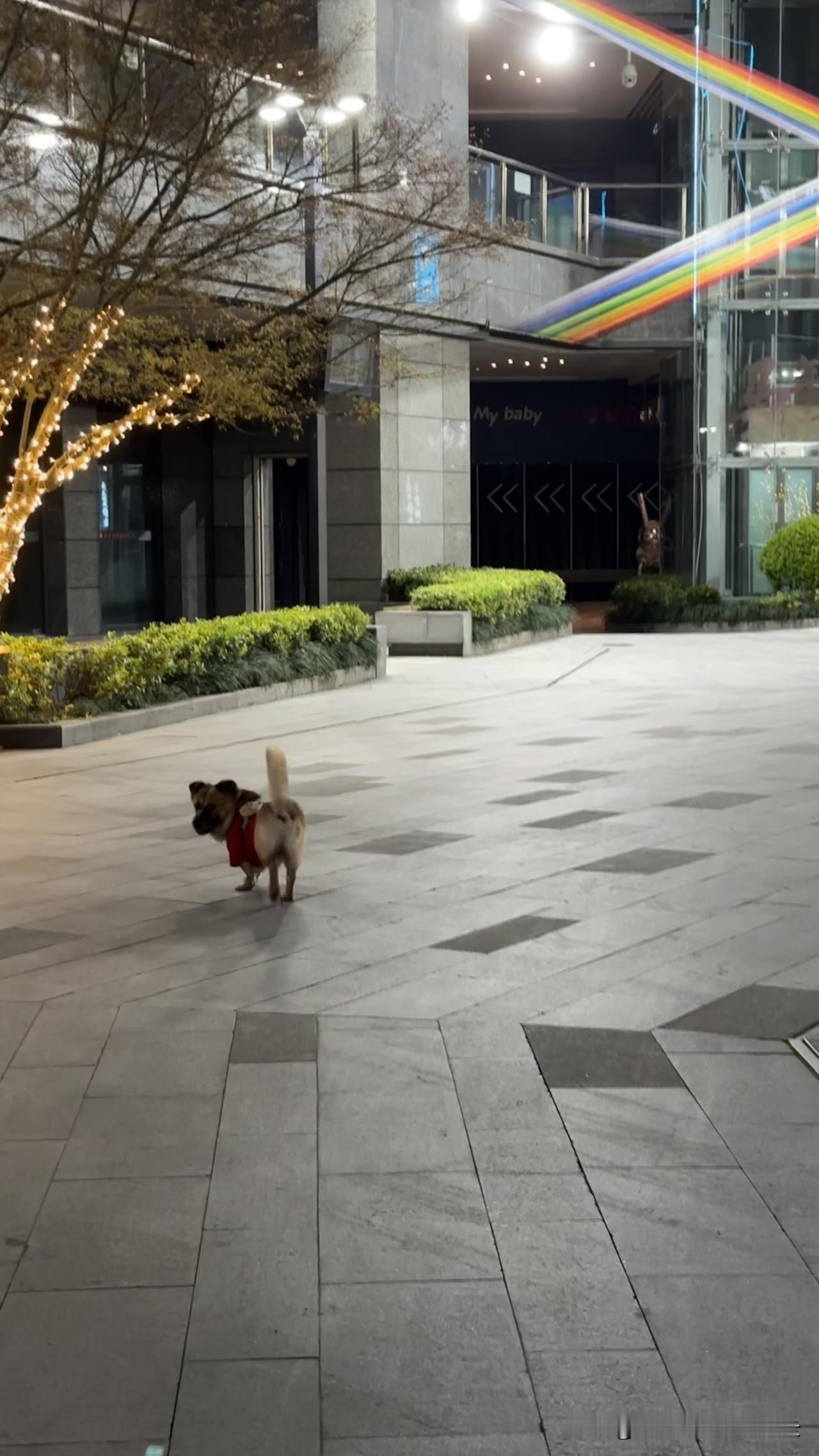 台北人在苏州，昨晚凌晨三点，睡梦中被门外一阵刺耳的火灾警报给惊醒，起床开门察看，