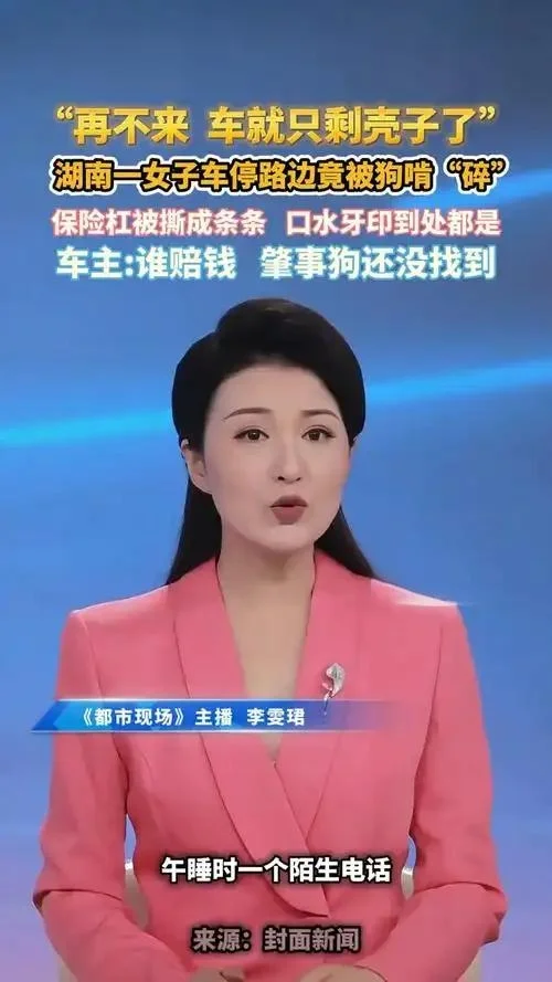 路边停车惊现“午夜杀手”，不是人也不是车