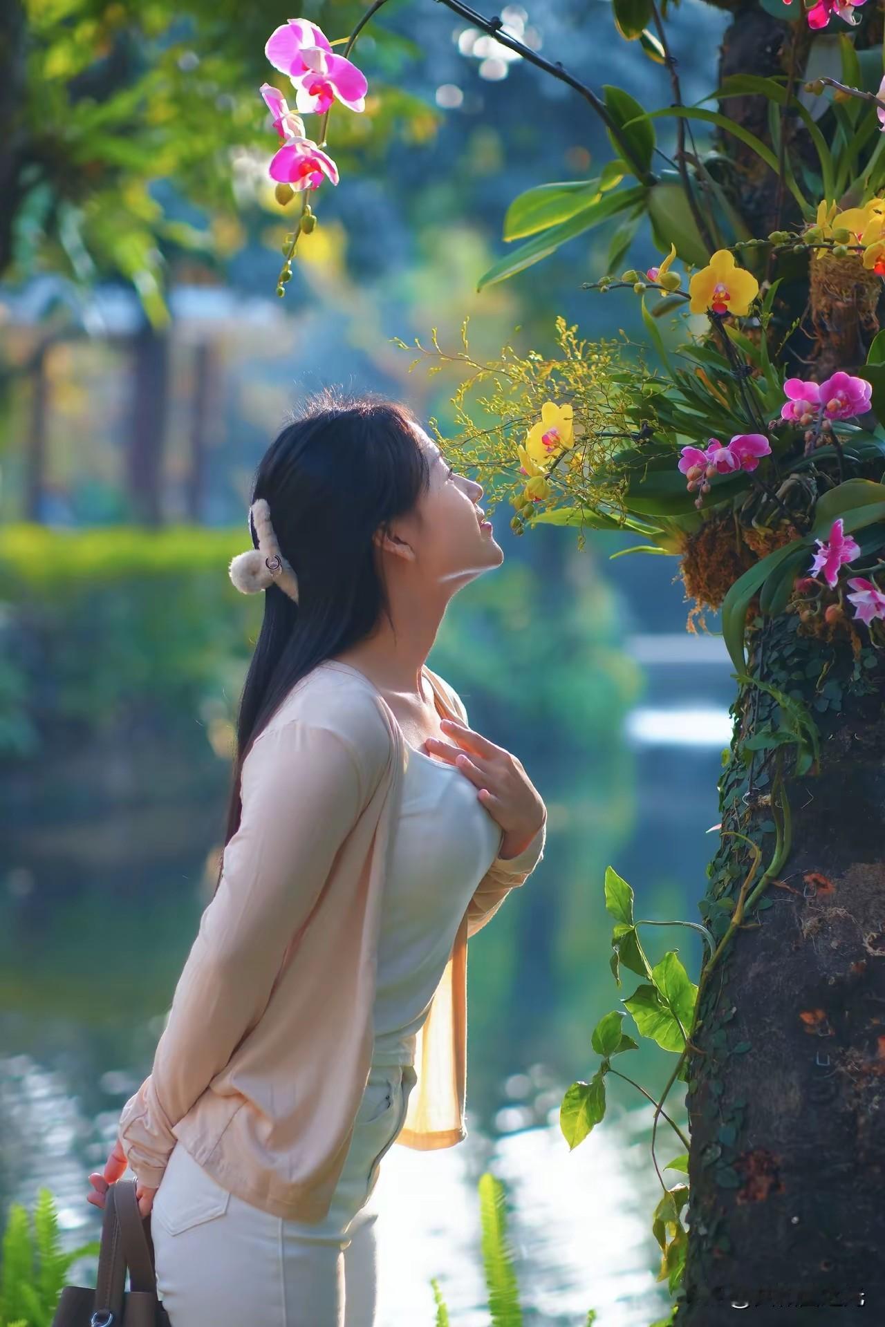 梅花香自苦寒来，墙角数枝梅，凌寒独自开梅花 梅腊梅 梅的傲骨 梅花的句子 凌寒红