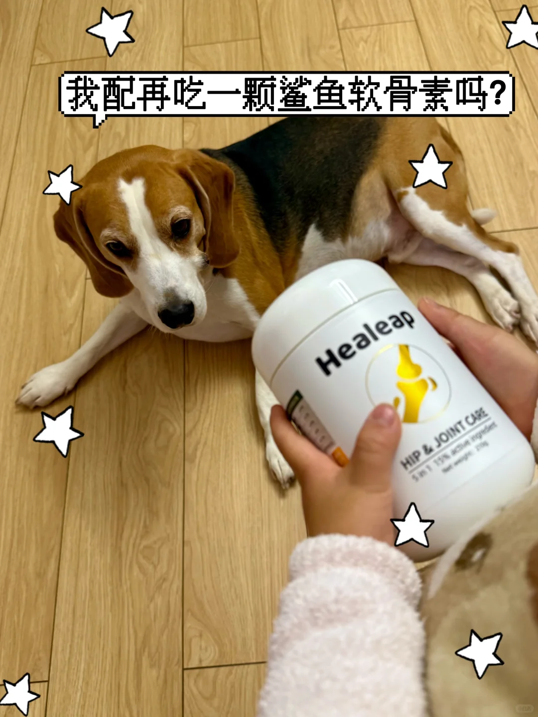 小胖狗的关节养护心得