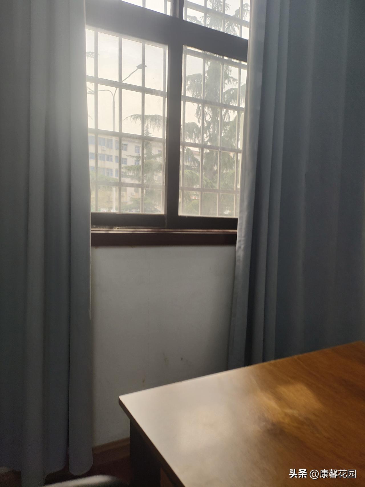 窗里的慢时光
 
浅蓝窗帘半掩着，漏进一方细碎的日光。窗外的雪松舒展着枝叶，把风