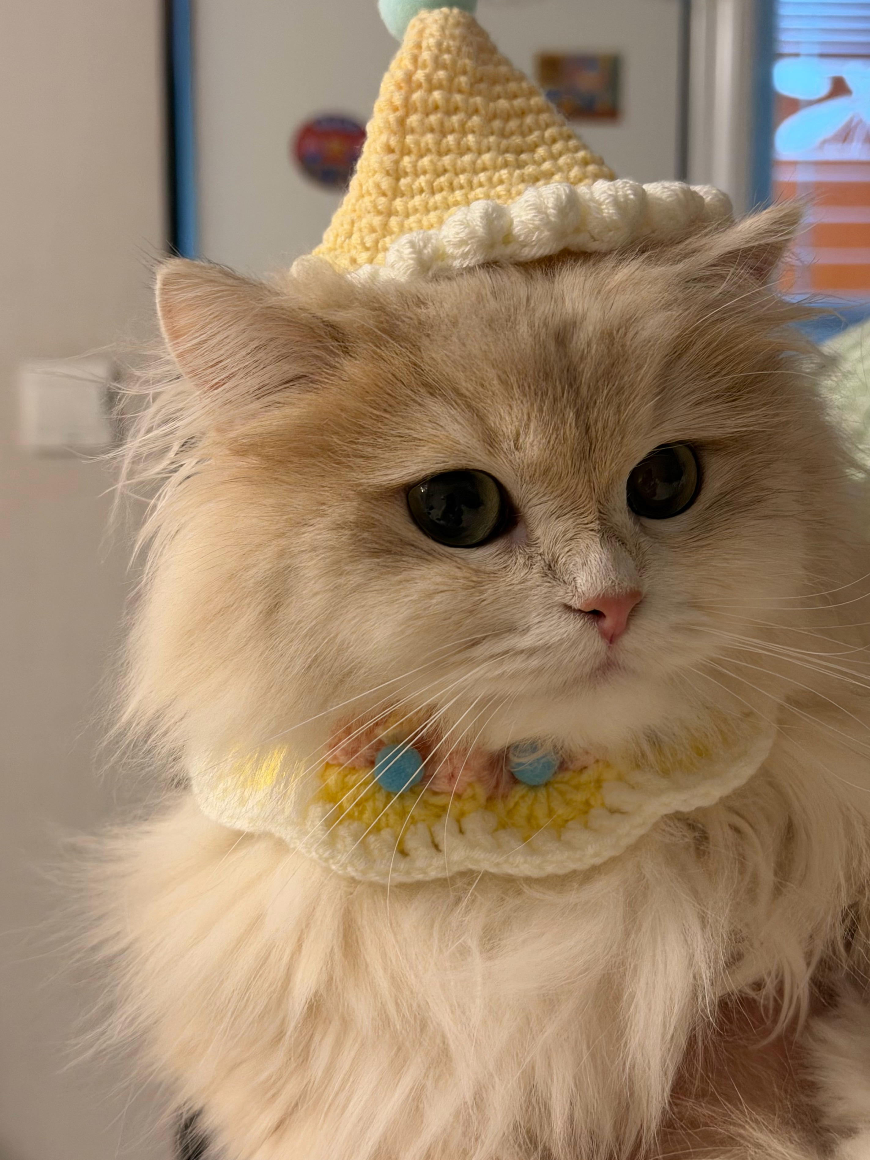 生日快乐饼大王