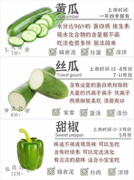 【绿色蔬菜说明书】蔬菜的营养价值！我的宝藏食谱