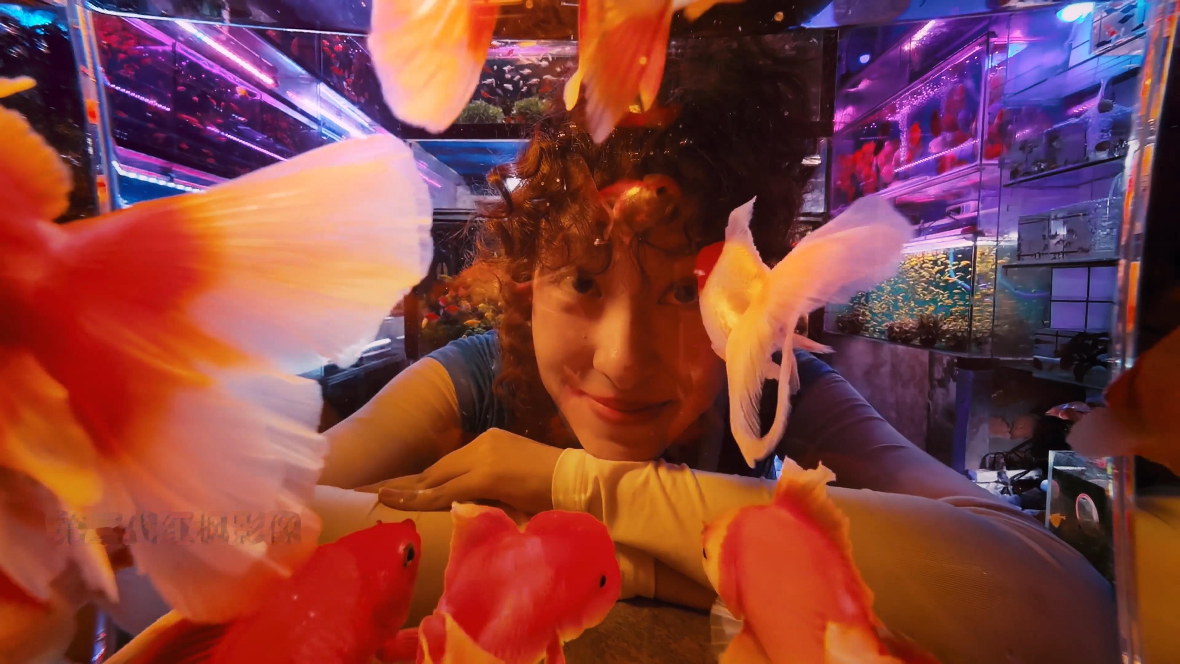 刚刚看完华为Mate80的宣传片，这一代可以说是把“能拍、能扛、能造”三个维度都