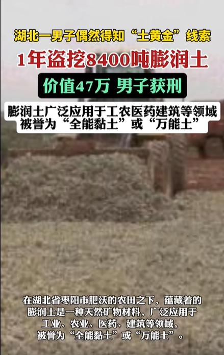 湖北枣阳，一男子发现某片农田之下竟然富含 “土黄金”，于是立即租下了 25 亩地