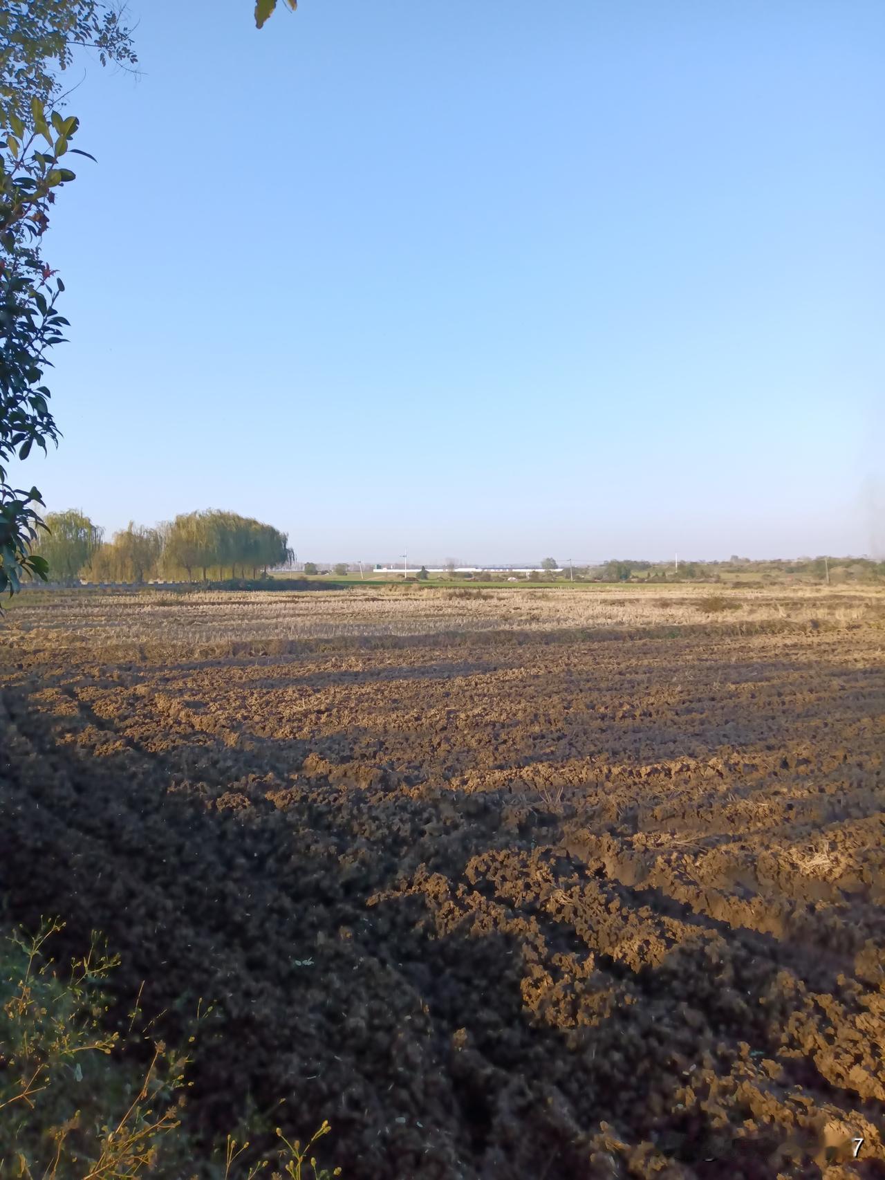 彻底摆脱对石油的依赖才是正道！看看全世界才工业化不到200年而已，对地球的污染就