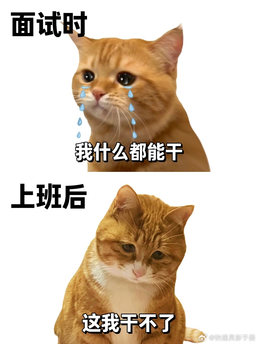 面试时VS上班后 