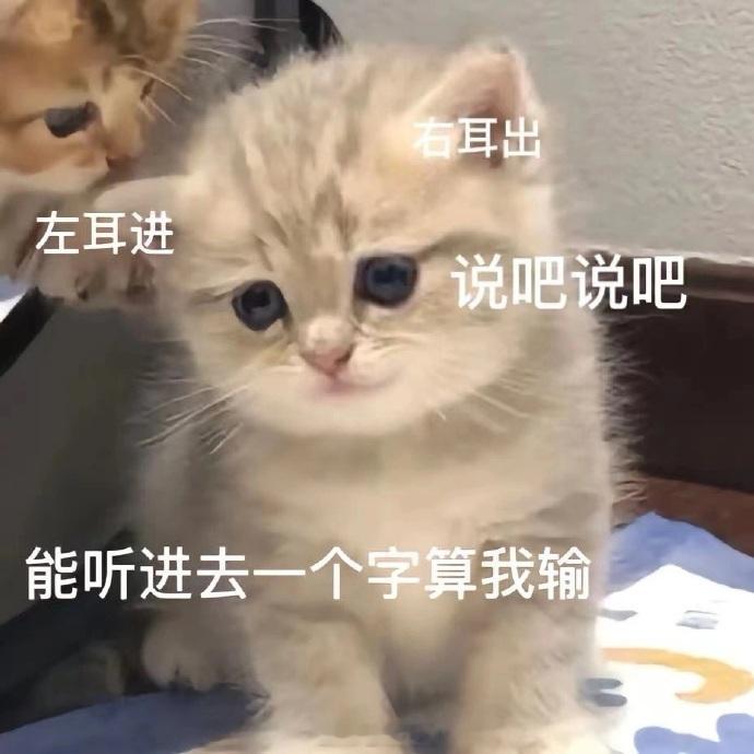 聊天必备表情包第727弹喵星人必备表情包​​​（拿图吱声） ​​​