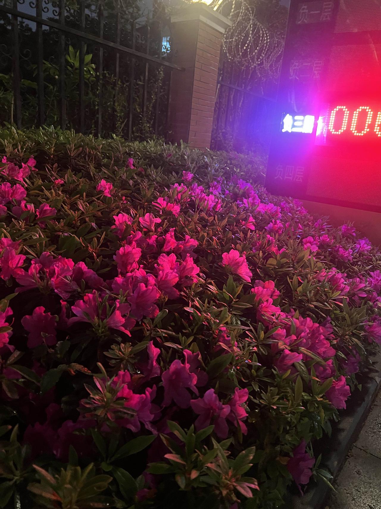 春日总是充满了各种讲究和美好呀。看到说明日三月初一，有“1不洗，2不去，3不吃”