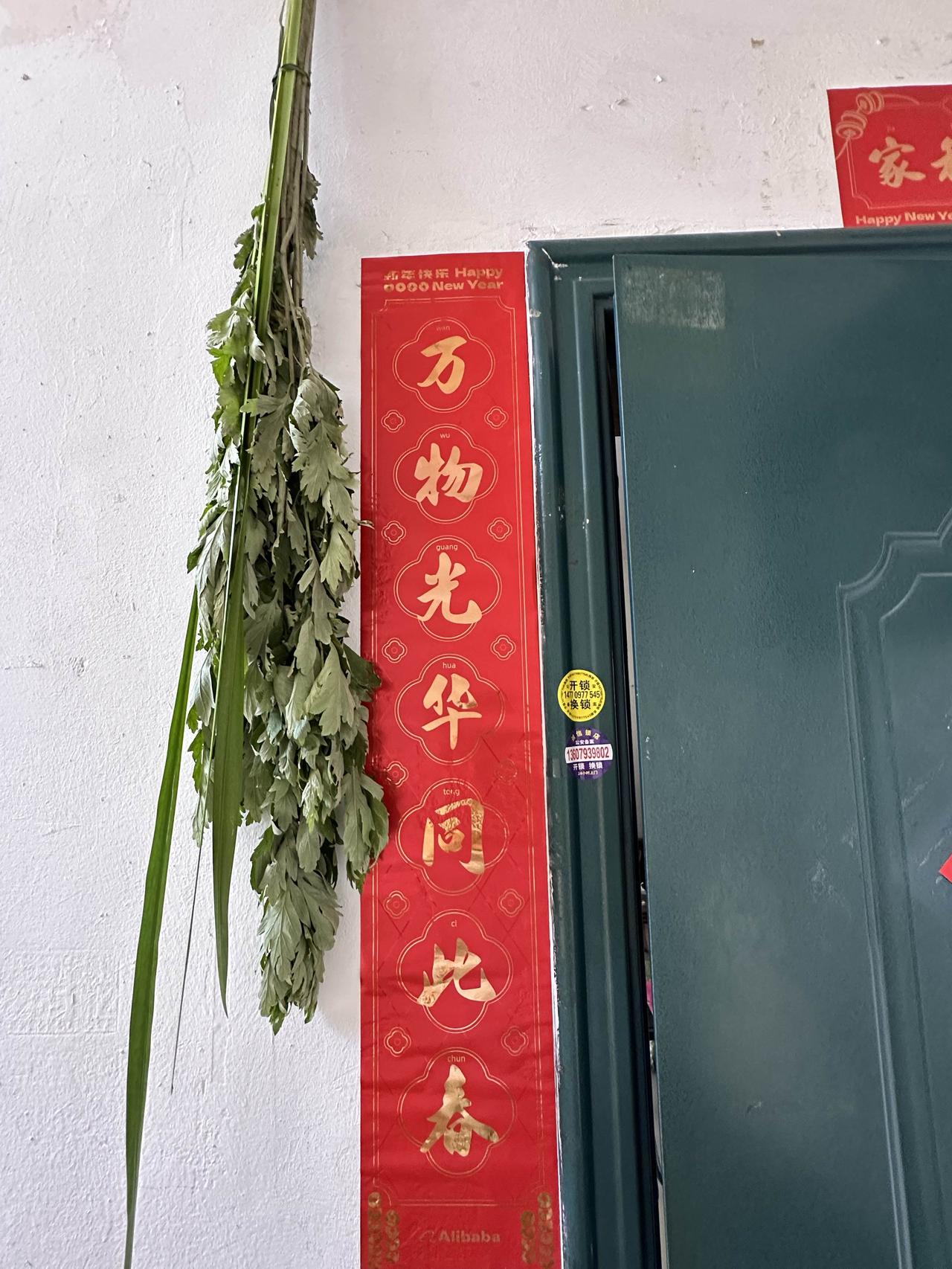 昨天早上去农贸市场买端午艾和水菖蒲回家以后，细细整理挂在门上之后，都以为本周星期