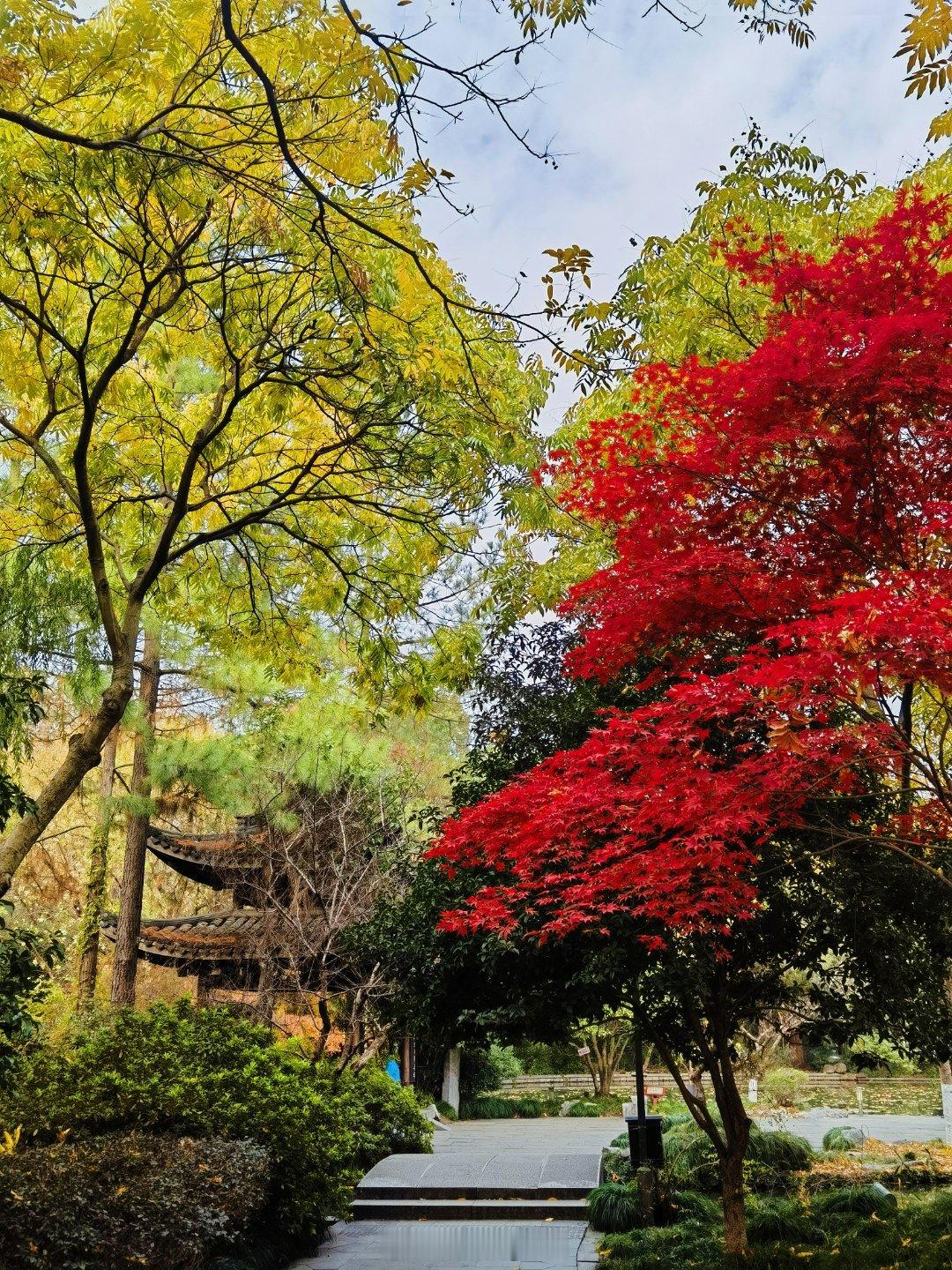 上周沿着大运河走走拍拍，今天来看看淡妆浓抹总相宜的西湖，西湖真的太美了，就是今天