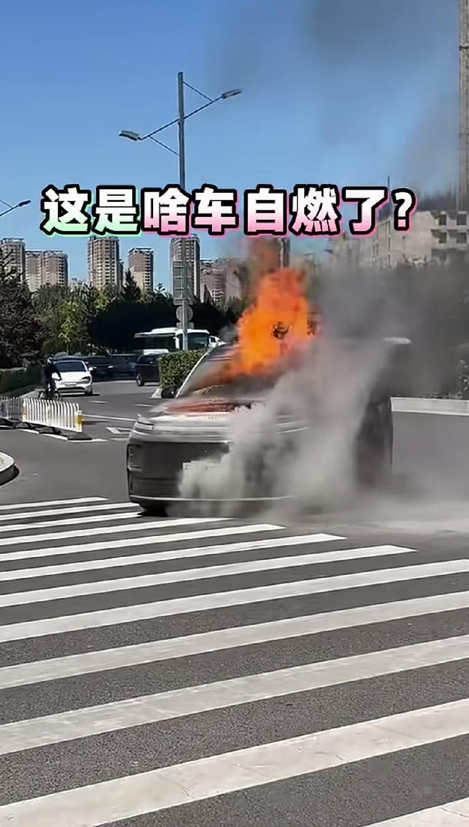 这是什么车？