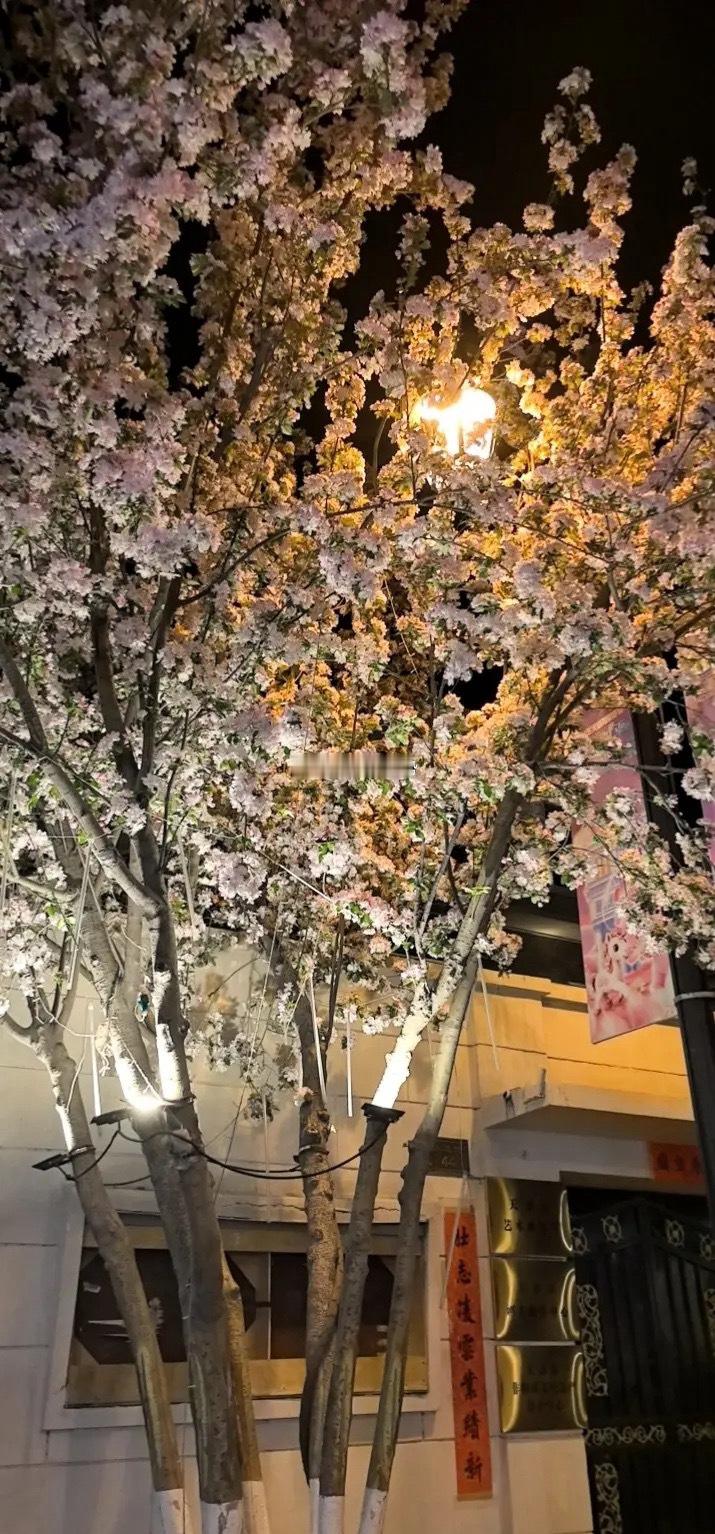业绩空窗期将至，把握科技轮动与低位切换机会一、假期全球市场：科技主线依然清晰，但