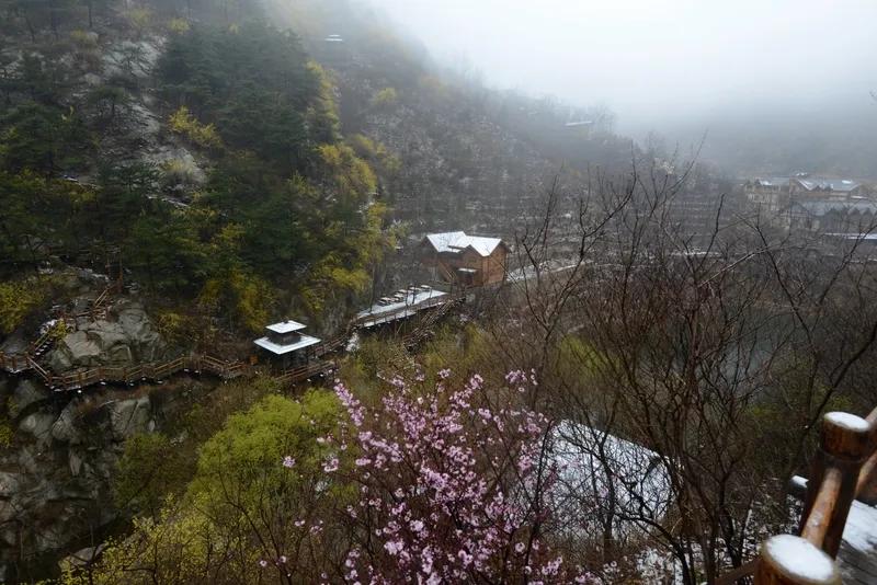 诗词打卡：
1.示张寺丞王校勘
（宋）晏殊
元巳清明假未开，小园幽径独徘徊。
春