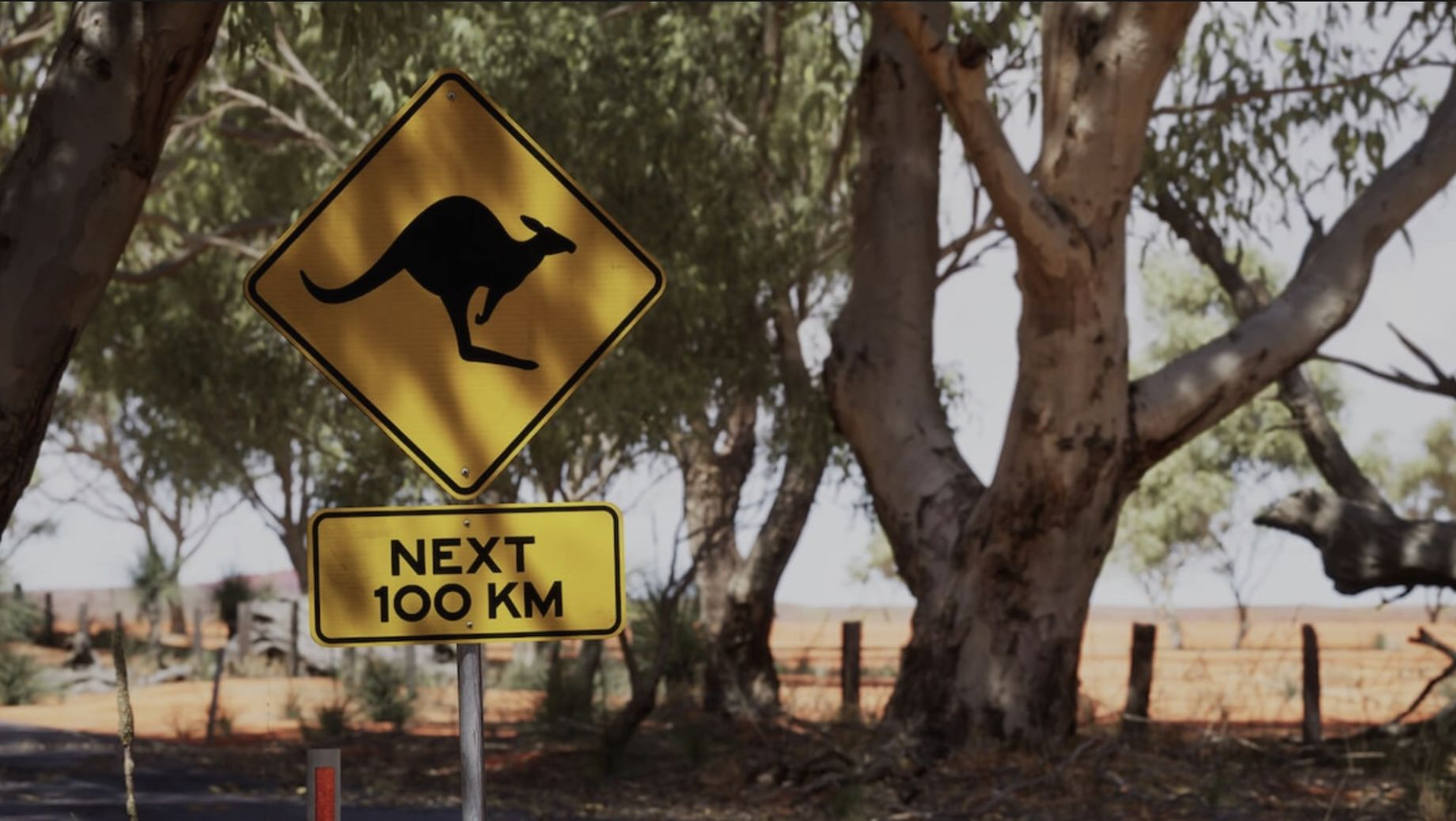 “小心袋鼠出没”警示标识并非首次作为巴瑟斯特 12 小时耐力赛涂装元素出现。20