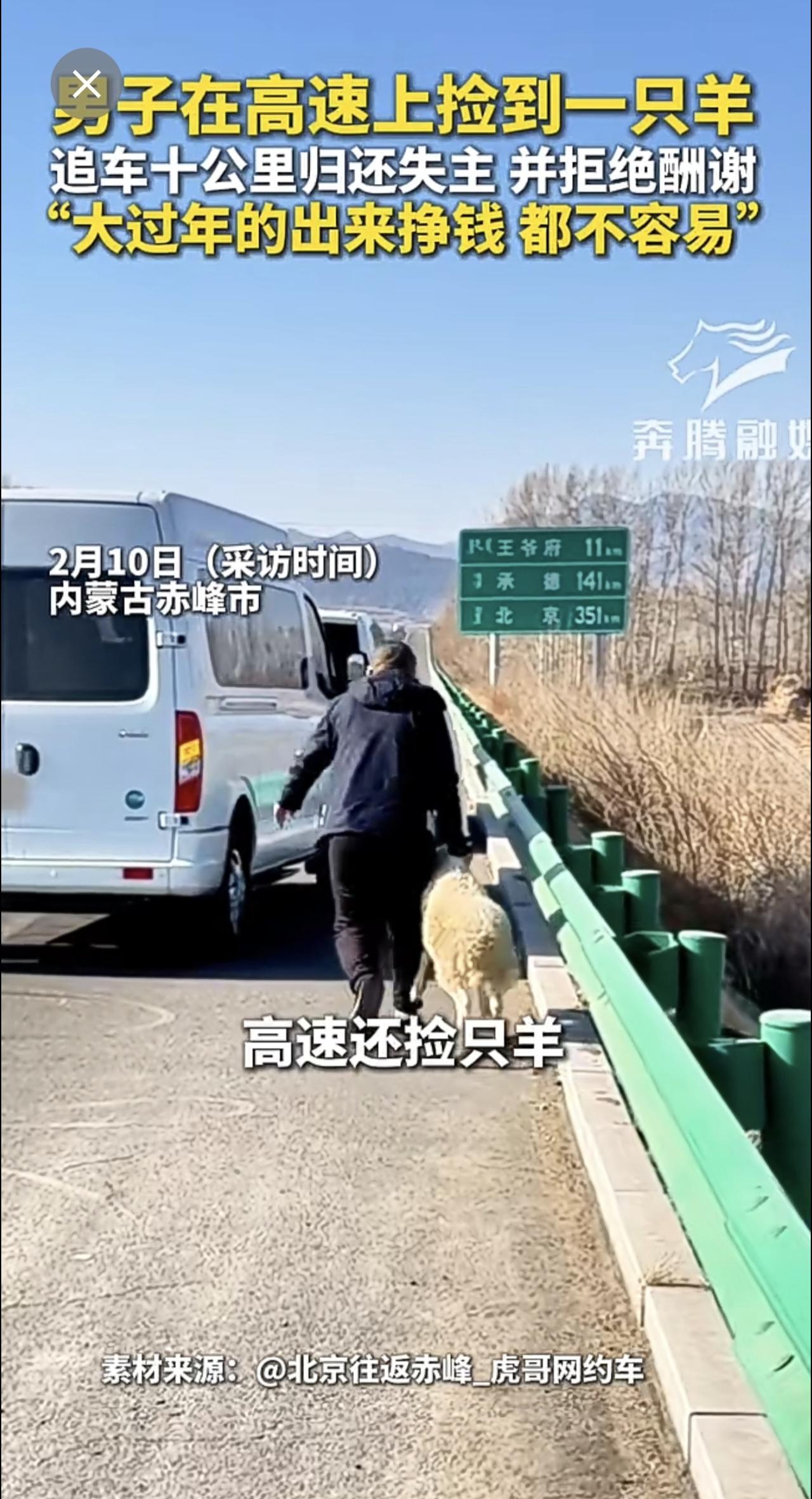 男子在高速上捡到一只羊 追车十公里归还失主 并拒绝酬谢 “大过年的出来挣钱 都不