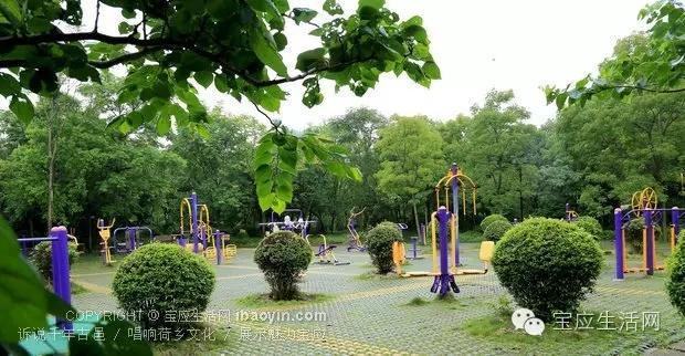 宝应曹甸楚甸公园藏着满满底蕴。公园占地130亩，绿植繁茂、步道蜿蜒，兼顾休闲健身