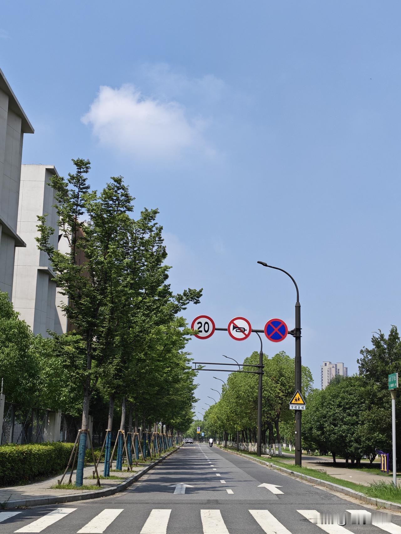 台风“巴威特”还没到，南京今夏的第一个高温天却提前到达，蓝天白云，风平浪静，早上