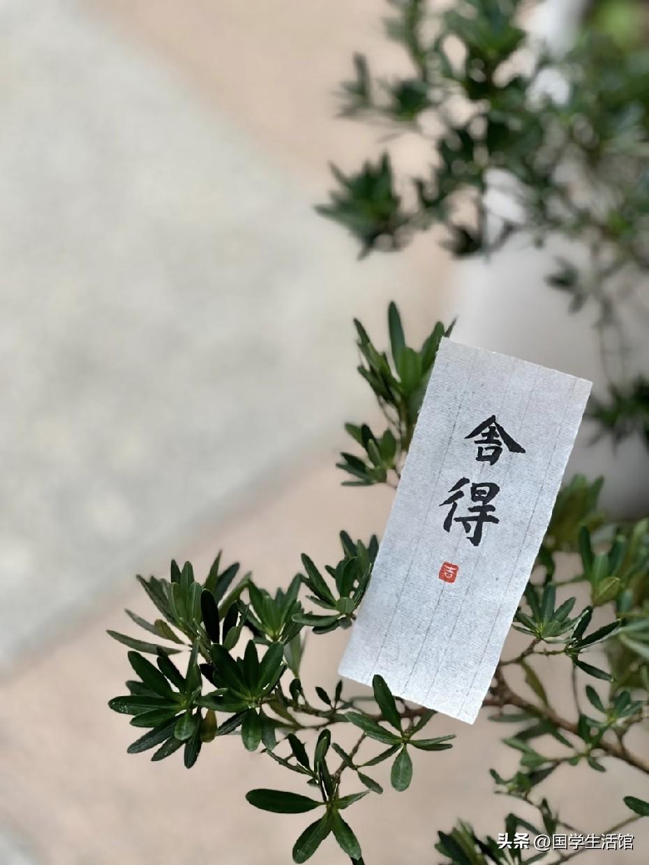 人到晚年才明白，真正有福的人，懂得要舍得！
 
1、舍得吃——吃好饭，养身也养心