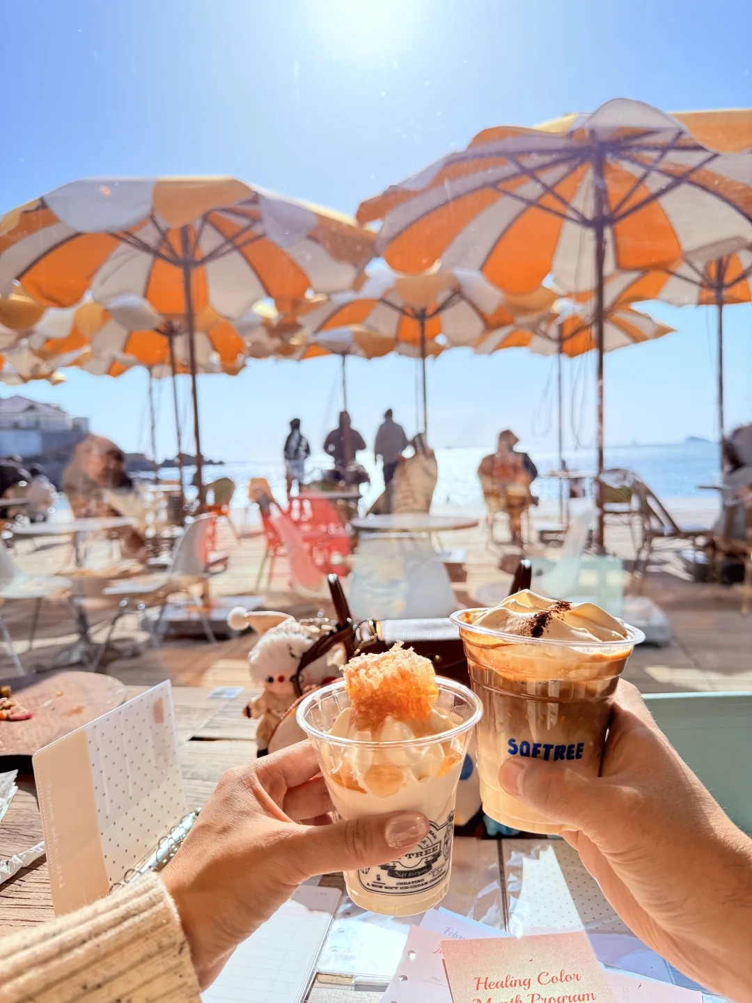 我在大连，很想和你交换春天🌱