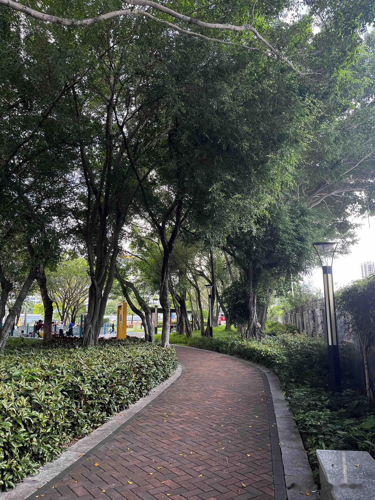 资治通鉴：你越想报复，越被困住？

当你被小人算计，学会把烂人踢出自己的注意力。