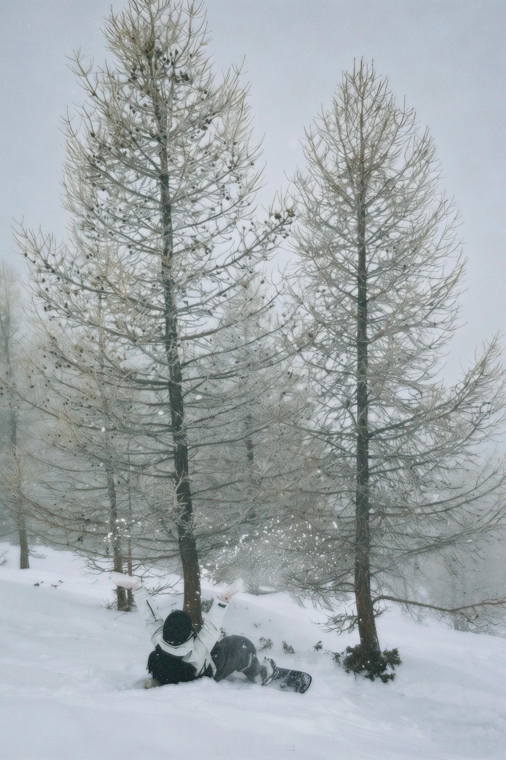正月初五接财神迎财神昨天刚来可可就下了一天的雪，真是遇“雪”则发！祝大家马年发大