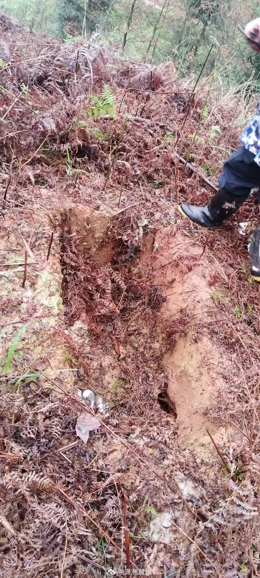 #村民发现清代祖坟疑遭盗墓#【湖南一村民修缮清代祖先坟墓时发现被挖出大坑，怀疑遭