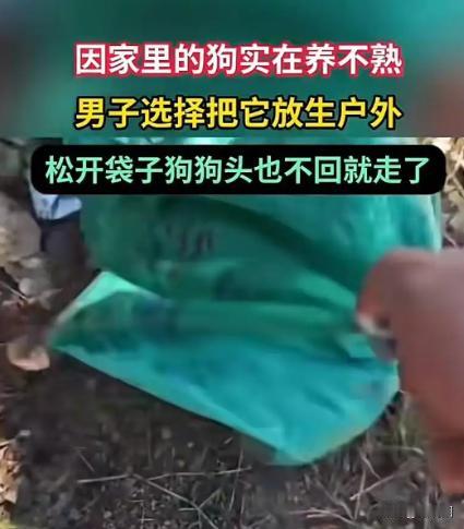 “破防了！”11月17日，广西，一男子养了条狗，不仅养不熟，还经常攻击他，所以选