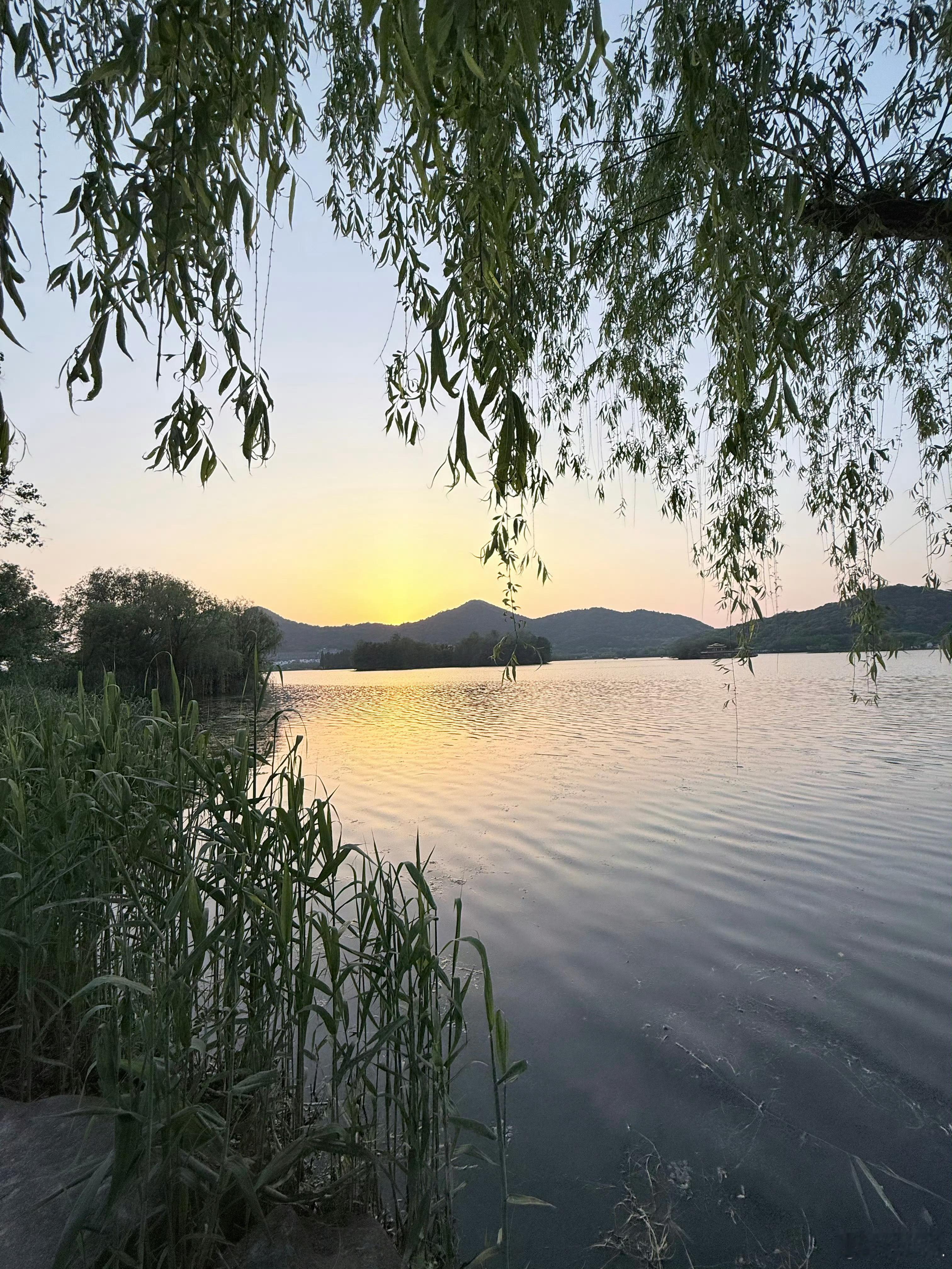 其实最近这“第一性原理”还挺火的但其实要从我咨询个案来看吧，确实很多成年人活到三