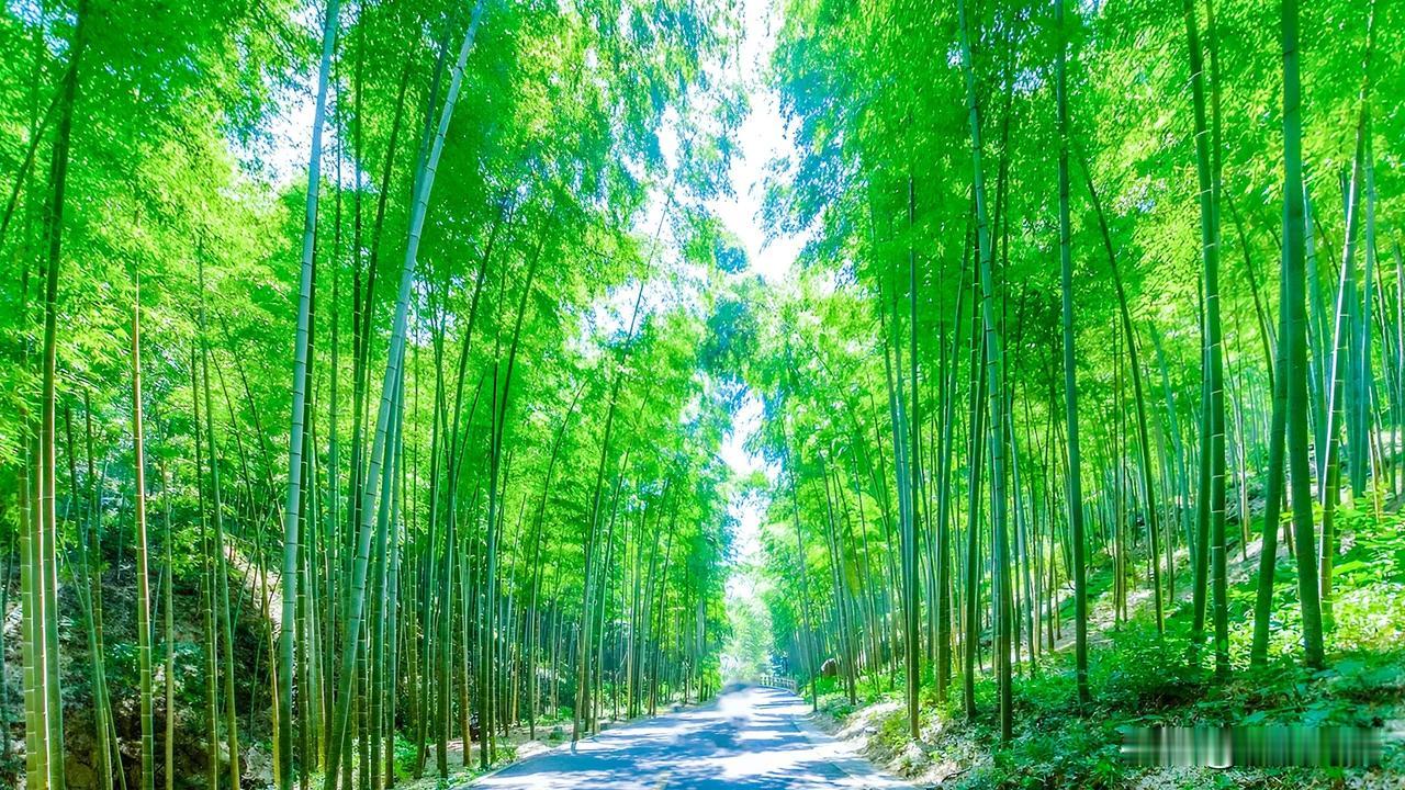 #上联：风吹竹浪千波绿；
诚邀下联#雨落枫声半窗韵。