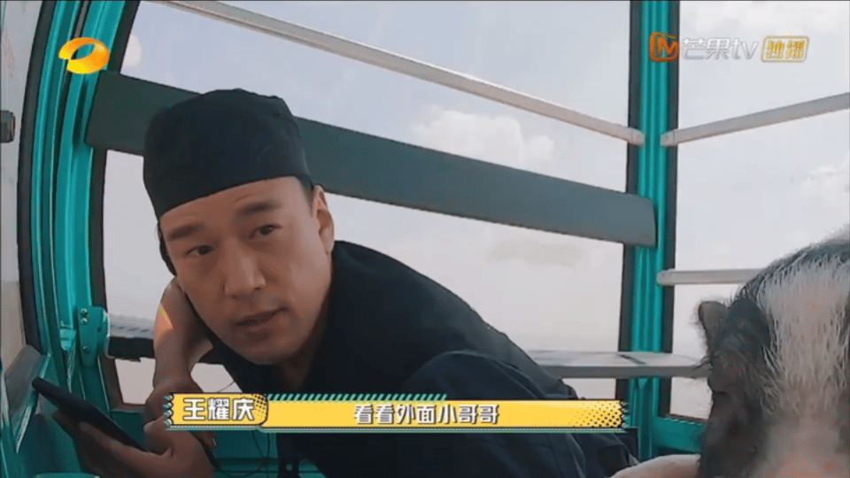 王耀庆带猪这段完播率200%霸总忙着布局躲追捕，小猪全程带薪睡觉还摔椅，这段真的