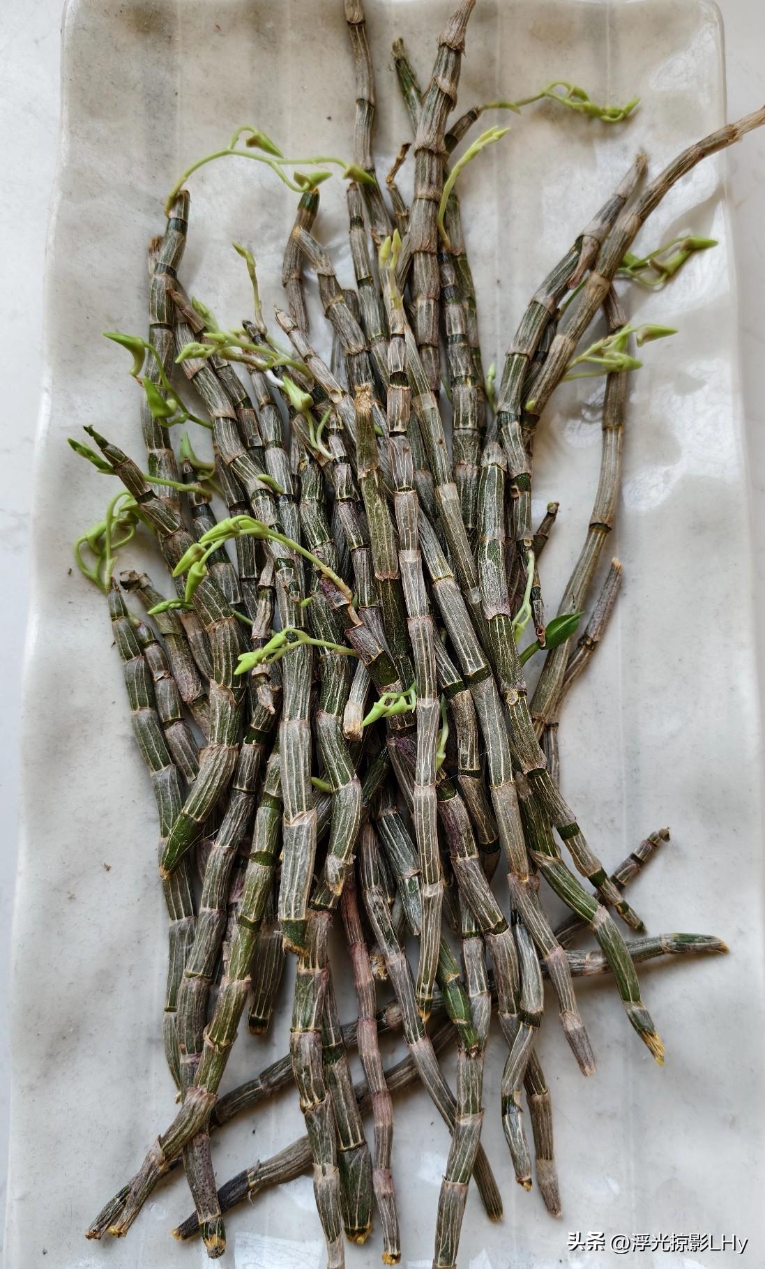 石斛不用买，整几段埋在花盆里，吃不完。

去年初秋，网上买了点霍山石斛，没用完，