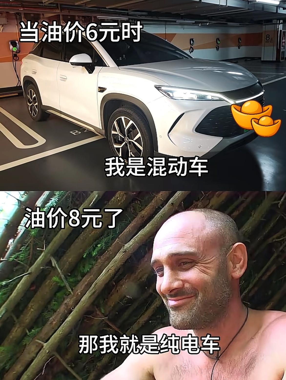 伊朗导弹击中以色列海法炼油厂油价23号要大涨，混动的网友有话说——所以说大油箱+