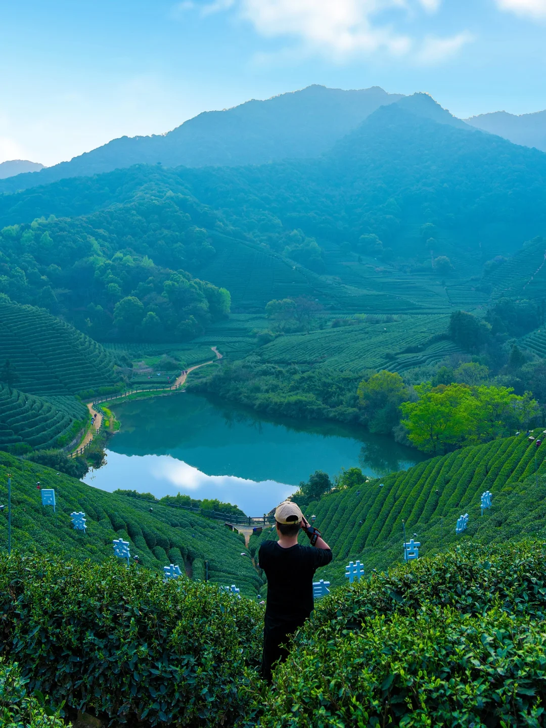 杭州上春山采茶季🍵我最爱的3条徒步路线