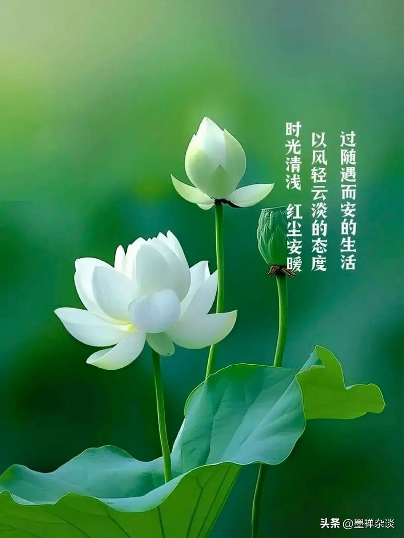 一位在气象台工作者说：

“真心奉劝各位，接下来这段时间，能不出游就尽量别出游了