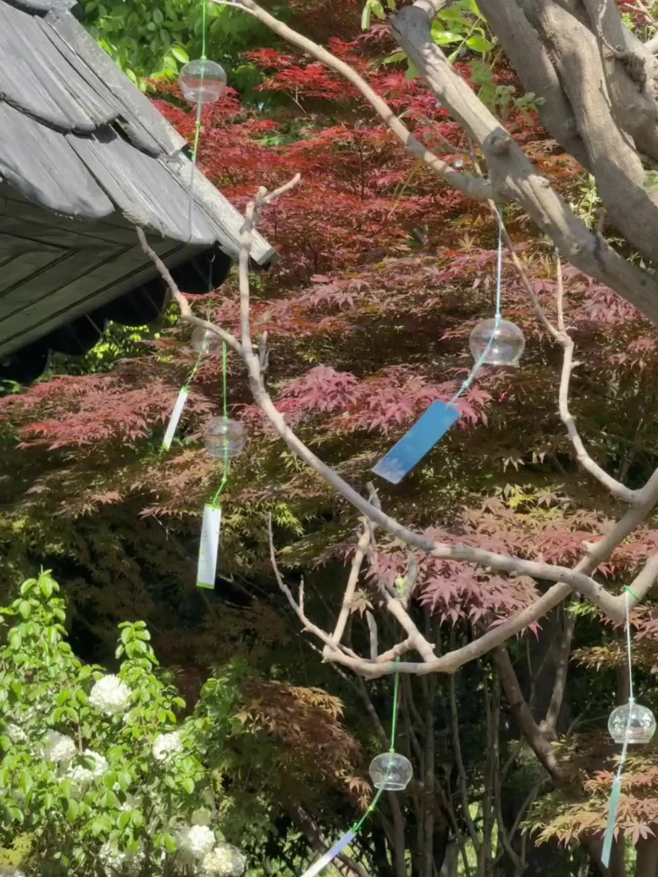 ˚( ၴႅၴ˖°.☘︎ ⋆˚✿˖°⊹❀