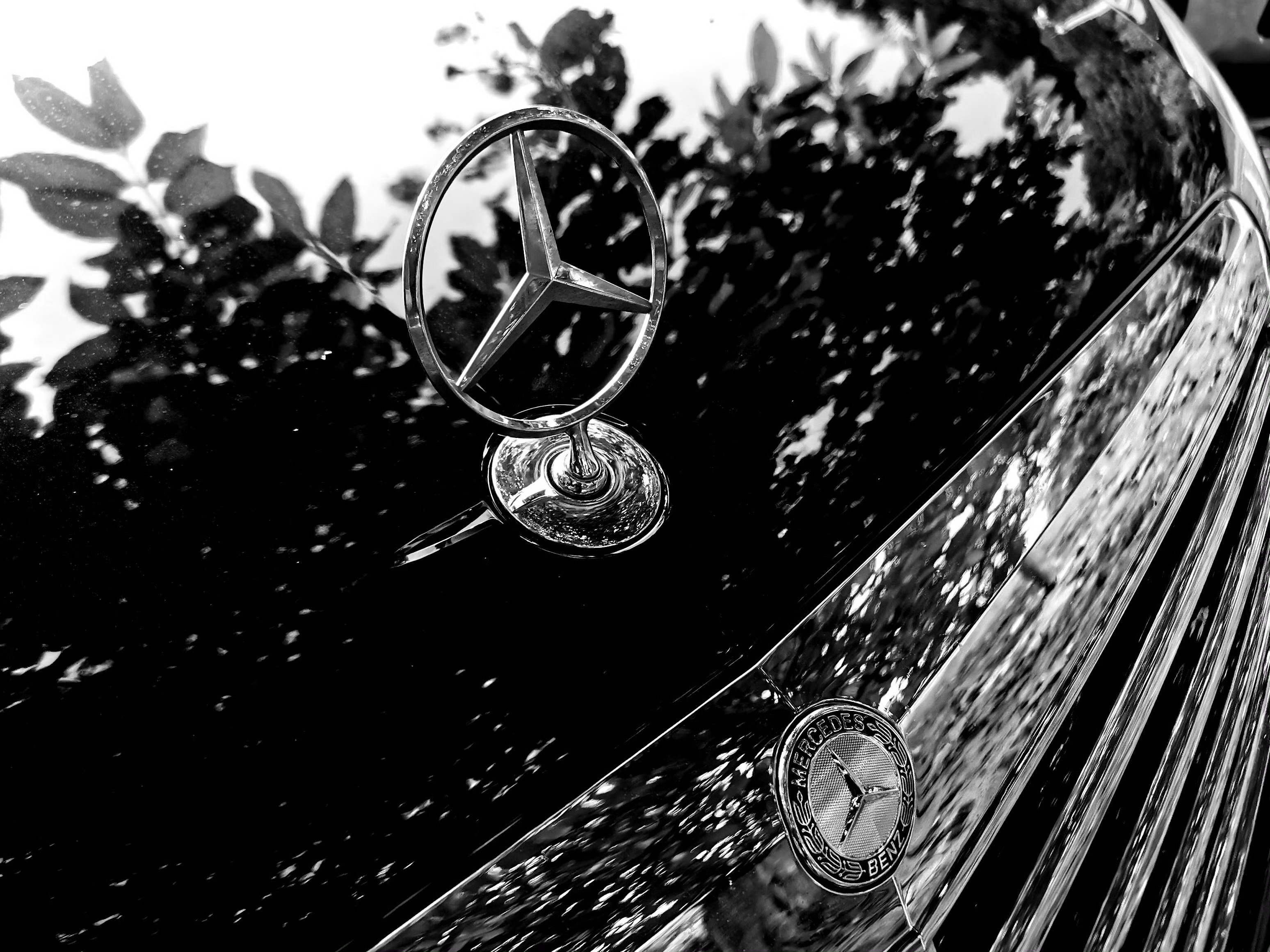 最近某些烂仔朋友的购车、换车行为让我总结了一件事：每个男人都是梅赛德斯奔驰的粉丝