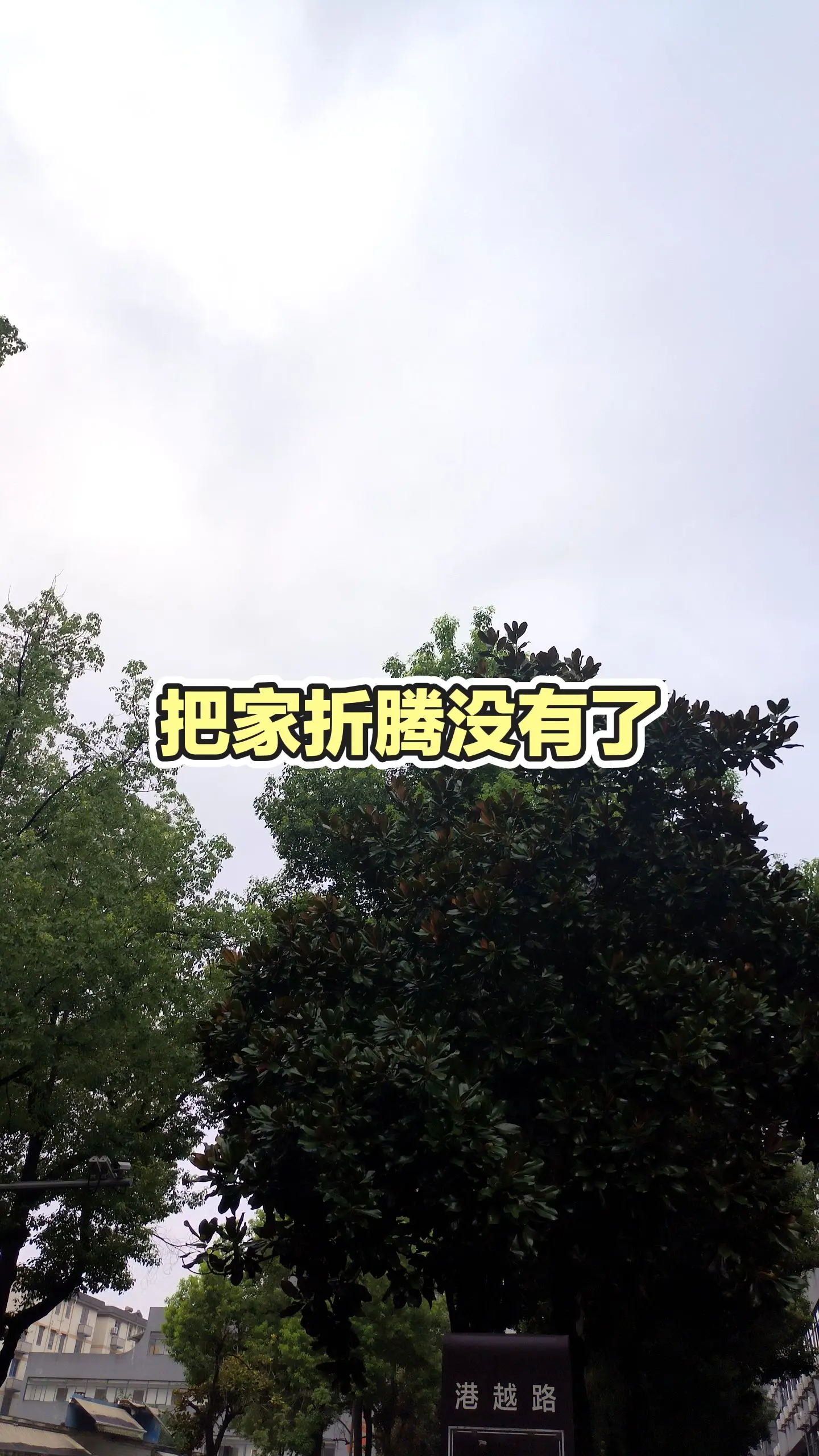 清新的天气 每日推文