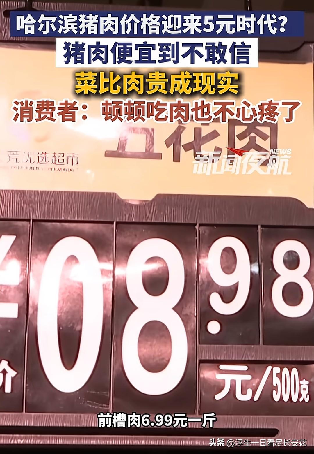 哈尔滨的猪肉降价了，5元时代要来了吗？看着哈尔滨超市里挂出的5.99元、4.8元