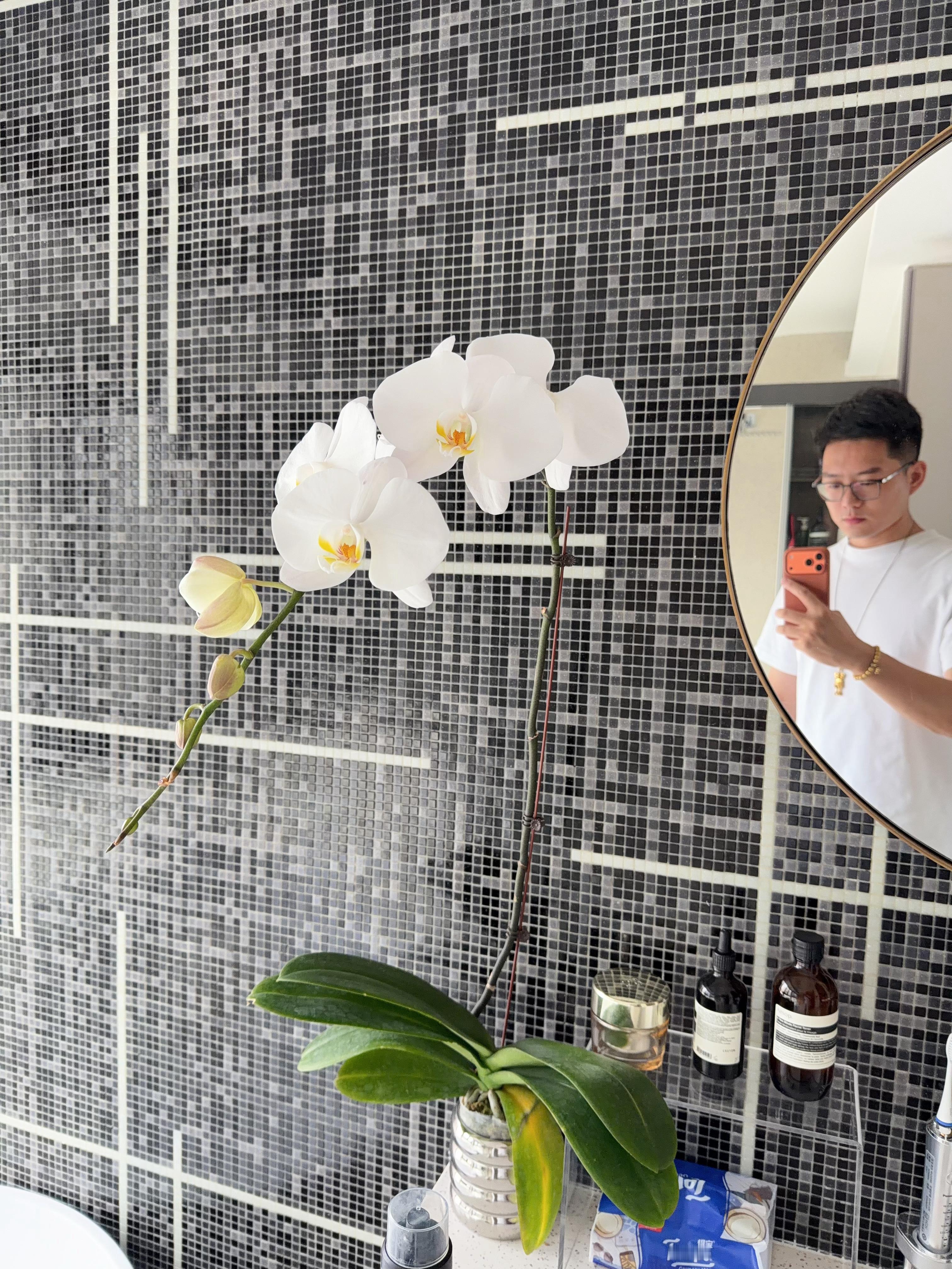 早，35块钱3个月的快乐和美好。 