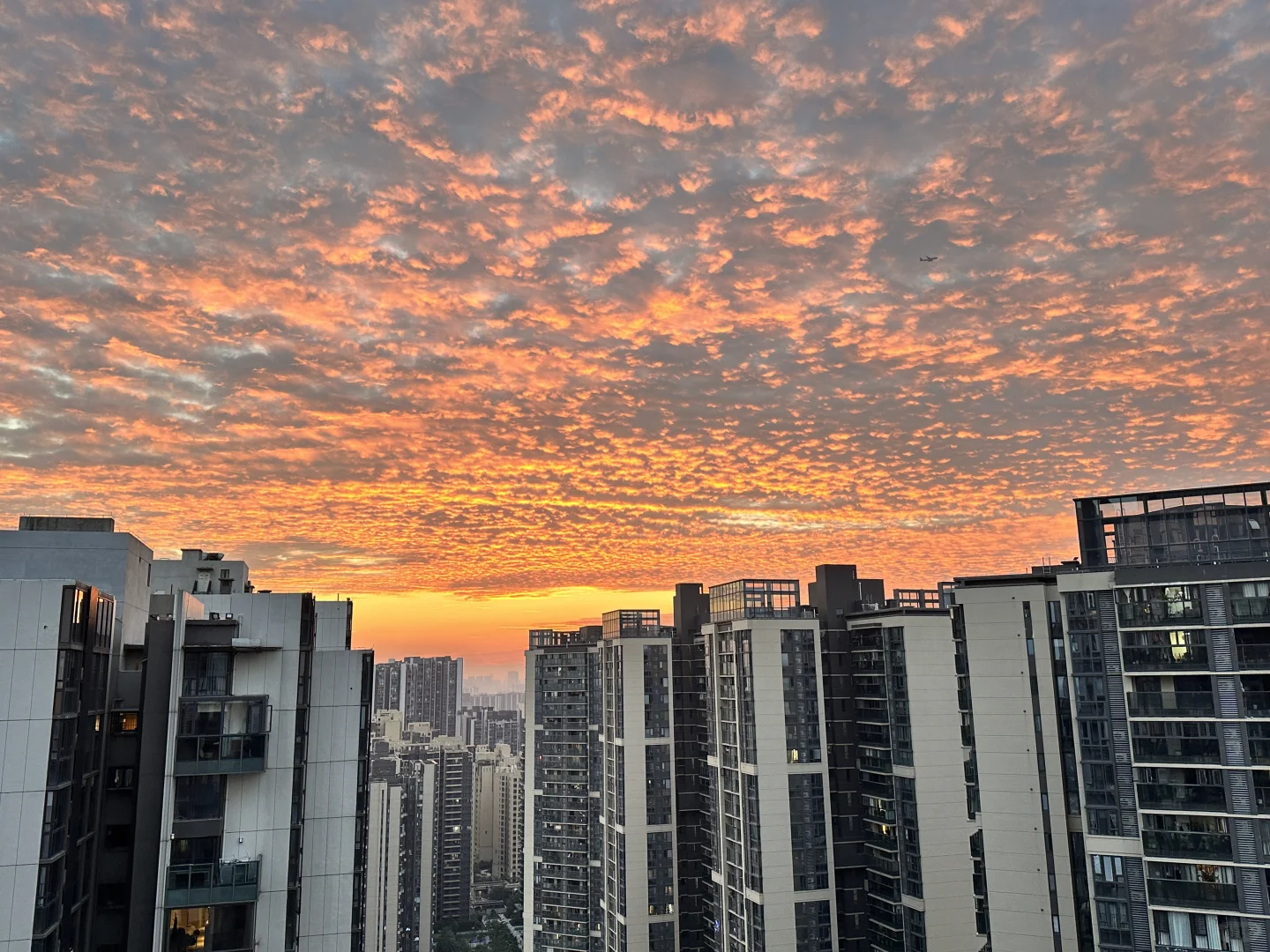 今日广州的限定晚霞🌇