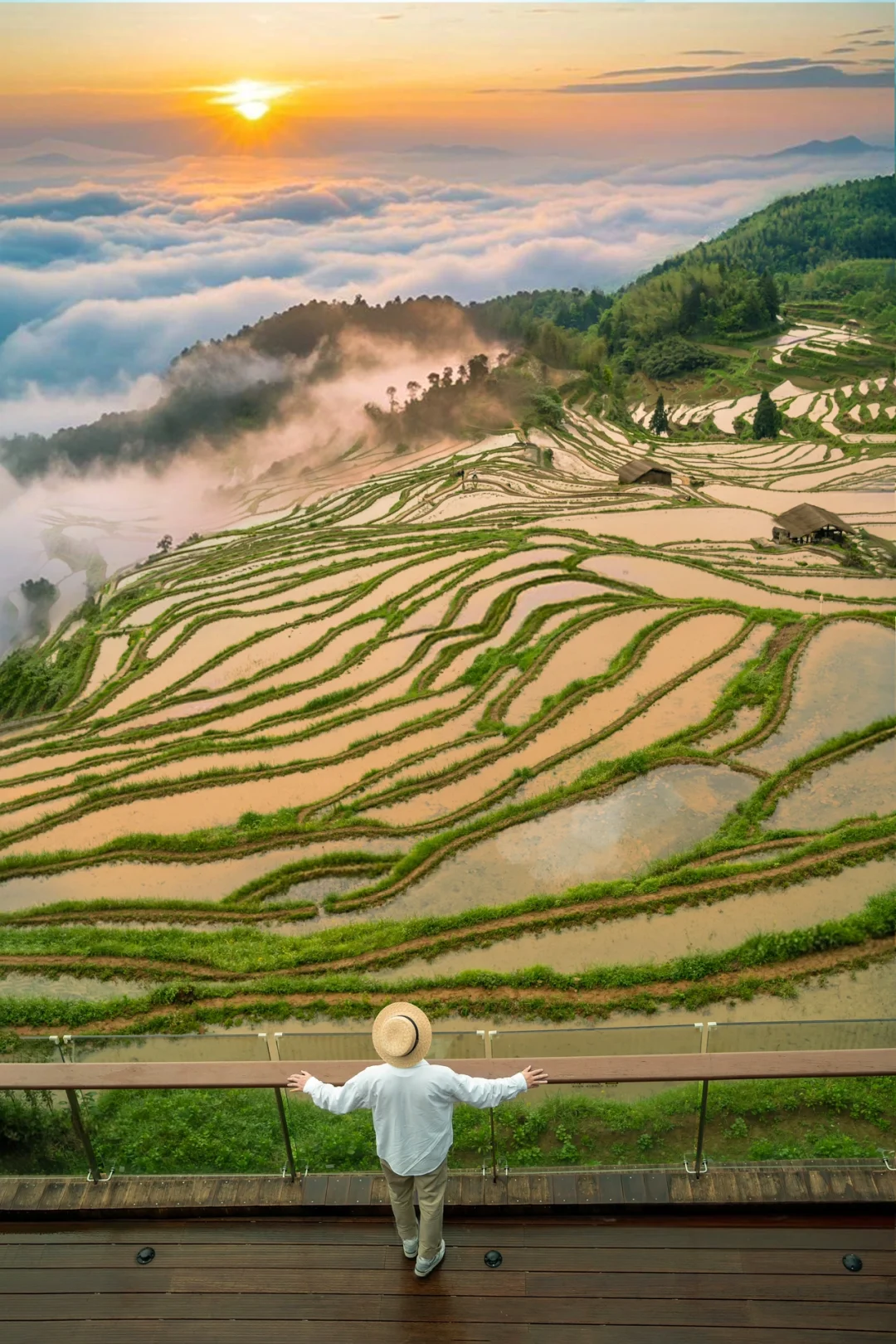 不在贵州‼️是浙江‼️日出云海梯田美到封神