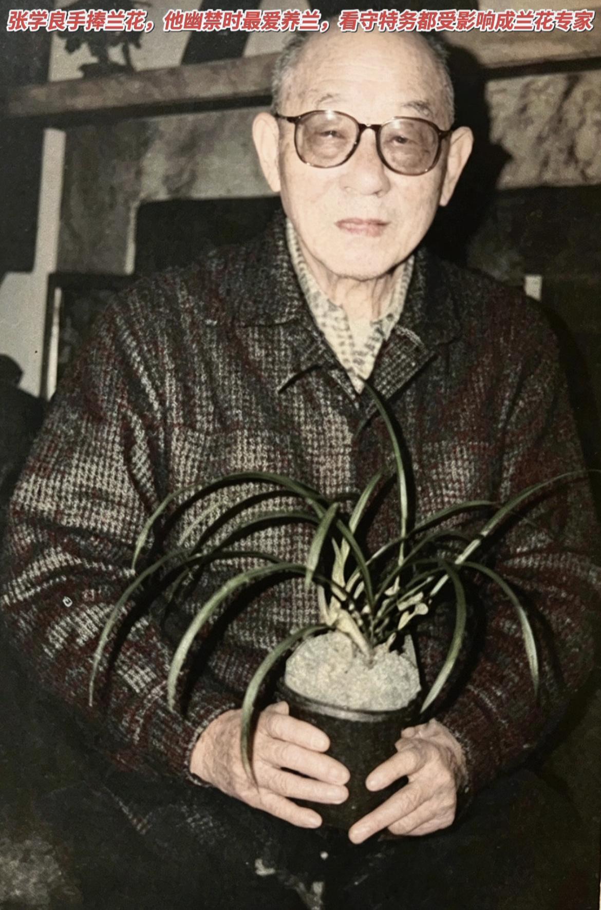老照片：幽禁岁月的晚年，张学良端坐于室内座椅，戴着眼镜，双手怀抱着一盆亲手培植的