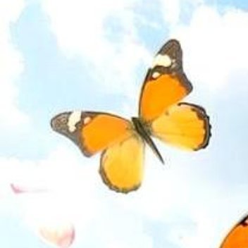 正能量生活哪有一蹴而就的圆满，不过是摔了又爬，错了再改，把曲折的路走成自己的风景