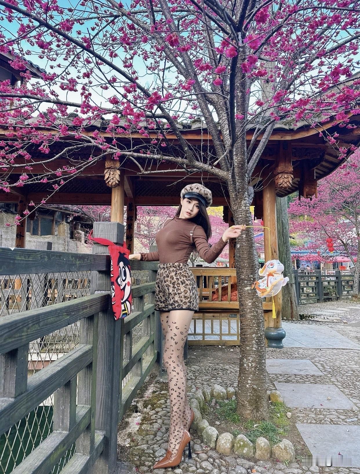 今日分享随手拍照片粉黛映花枝，春光满眼来。